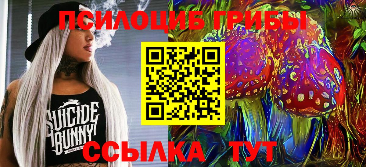 Галлюциногенные грибы GOLDEN TEACHER  Вход с VPN  Псилоцибиновые грибы Psilocybe  Киселёвск 